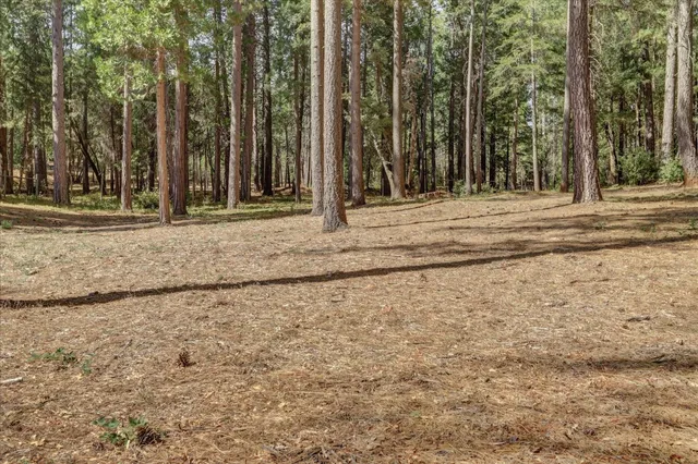 a view of road with trees