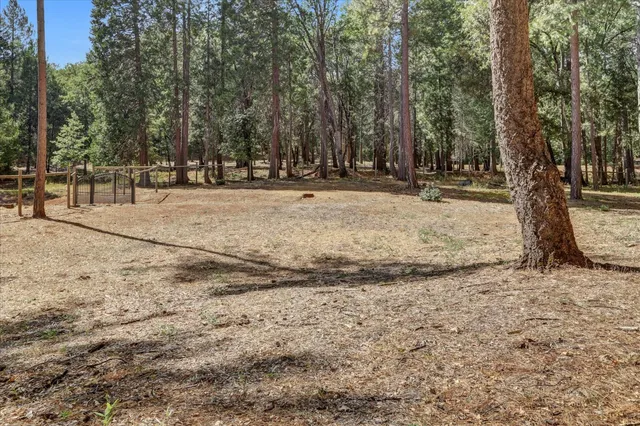 a backyard of a house with trees