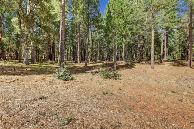 $159,000 | 13821 Golden Lily Court, Grass Valley, CA 95945