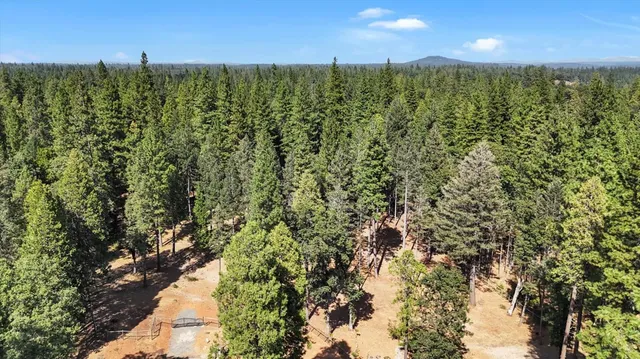 a view of a green field