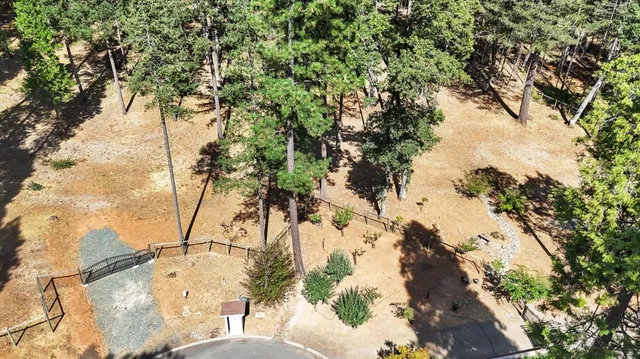 a view of a yard with a tree