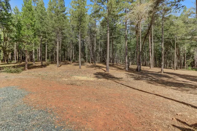 a backyard of a house with lots of trees