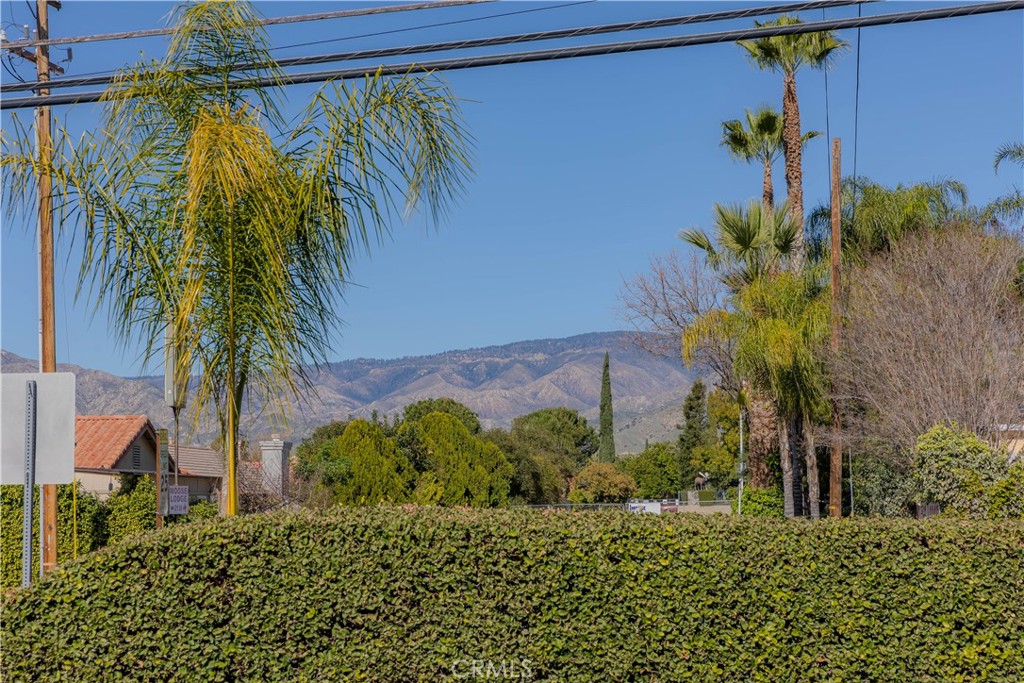 2140 Mentone, Unit 3 Mentone, CA 92359 - Photo 23 of 45 a view of a palm plant in a garden
