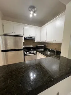 a kitchen with granite countertop a stove a sink and a microwave