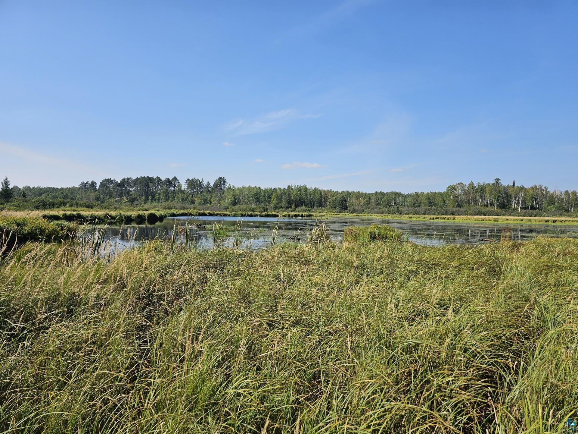 Tbd Samuelson Road Angora, MN 55703 - Photo 20 of 43 View of water feature with a view of trees
