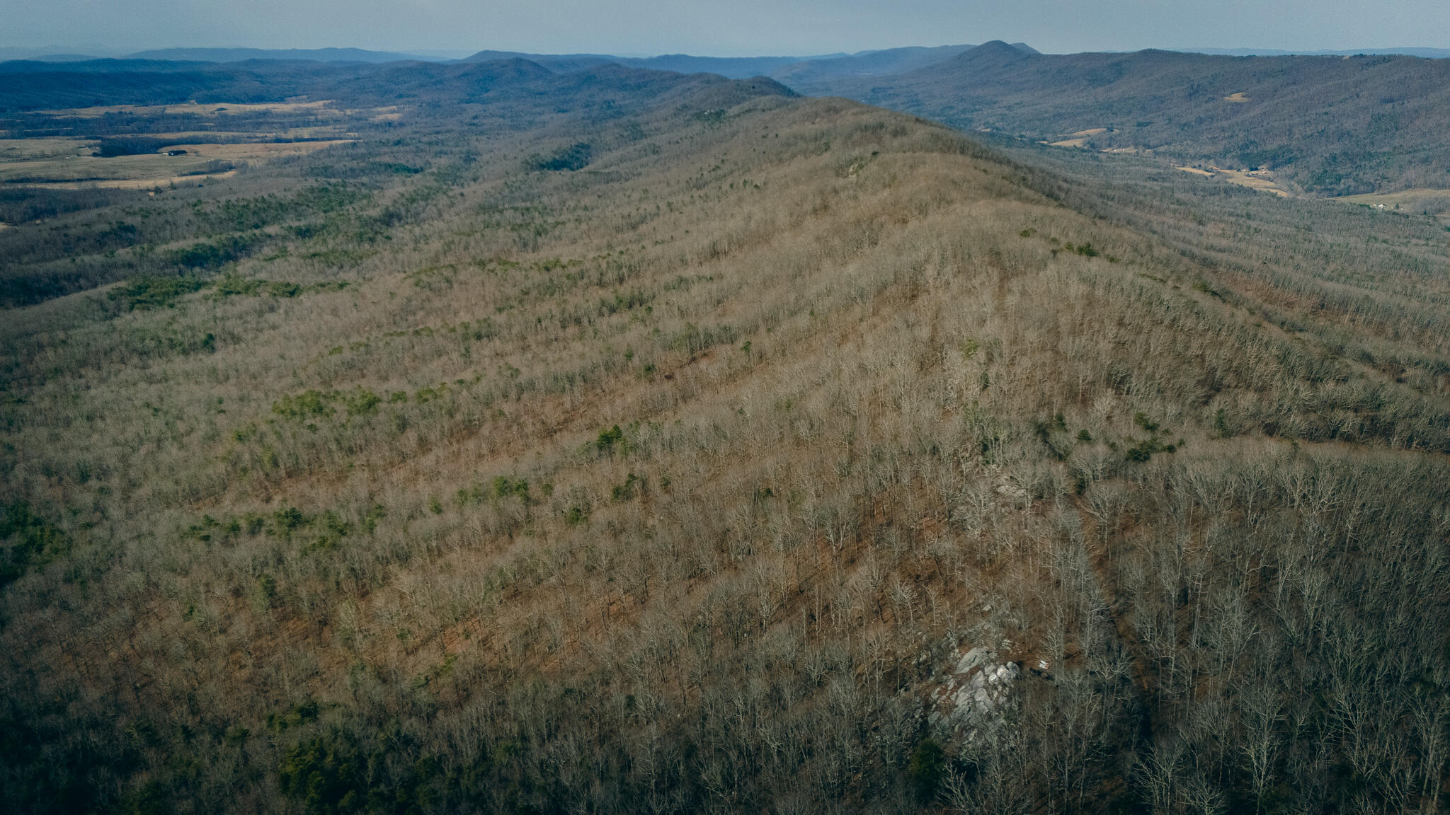 0 Alum Spring Road Pulaski, VA 24301 - Photo 13 of 15 McMillan pic 3