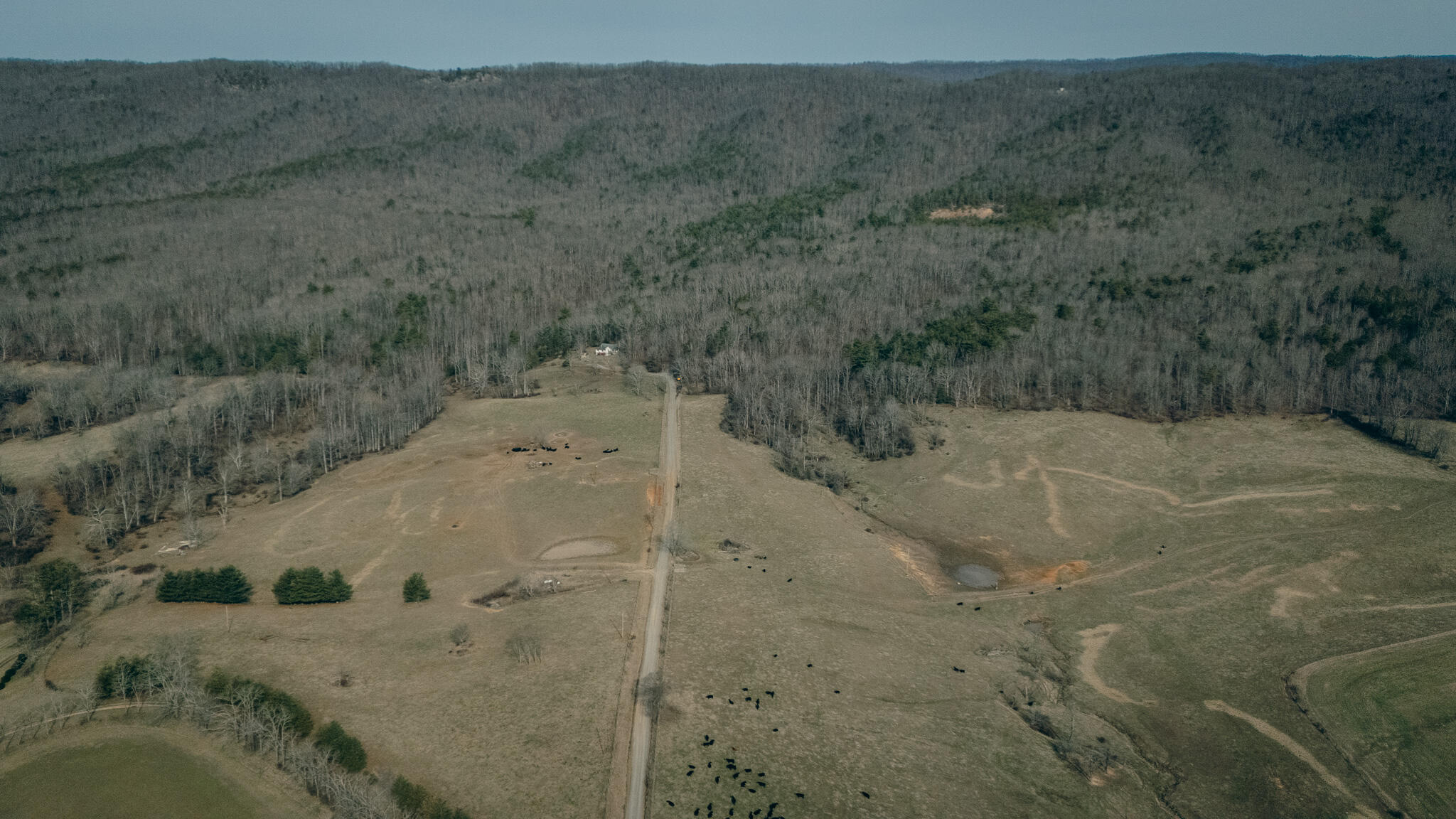 0 Alum Spring Road Pulaski, VA 24301 - Photo 15 of 15 McMillan pic 1