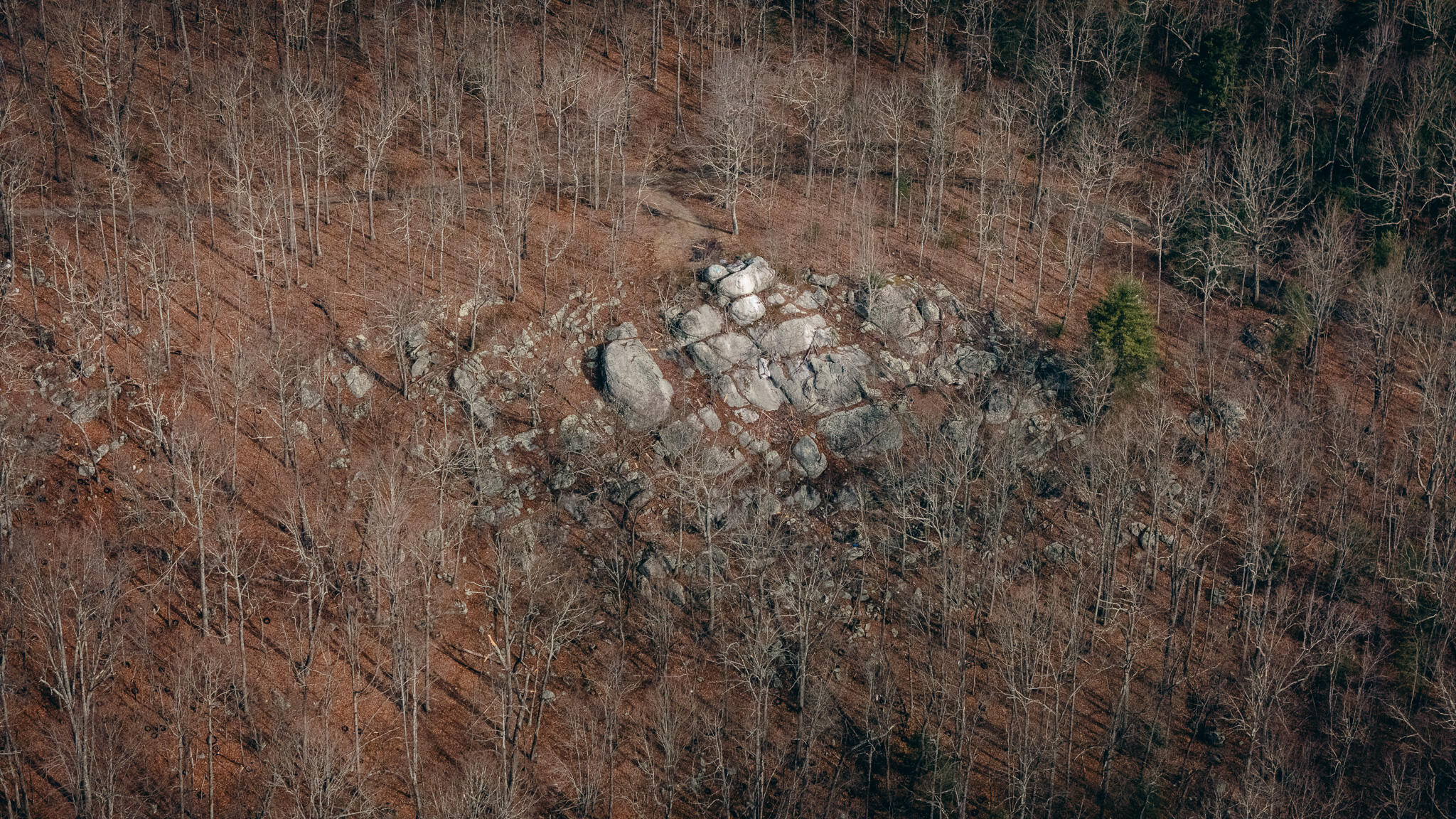 0 Alum Spring Road Pulaski, VA 24301 - Photo 5 of 15 McMillan pic 11