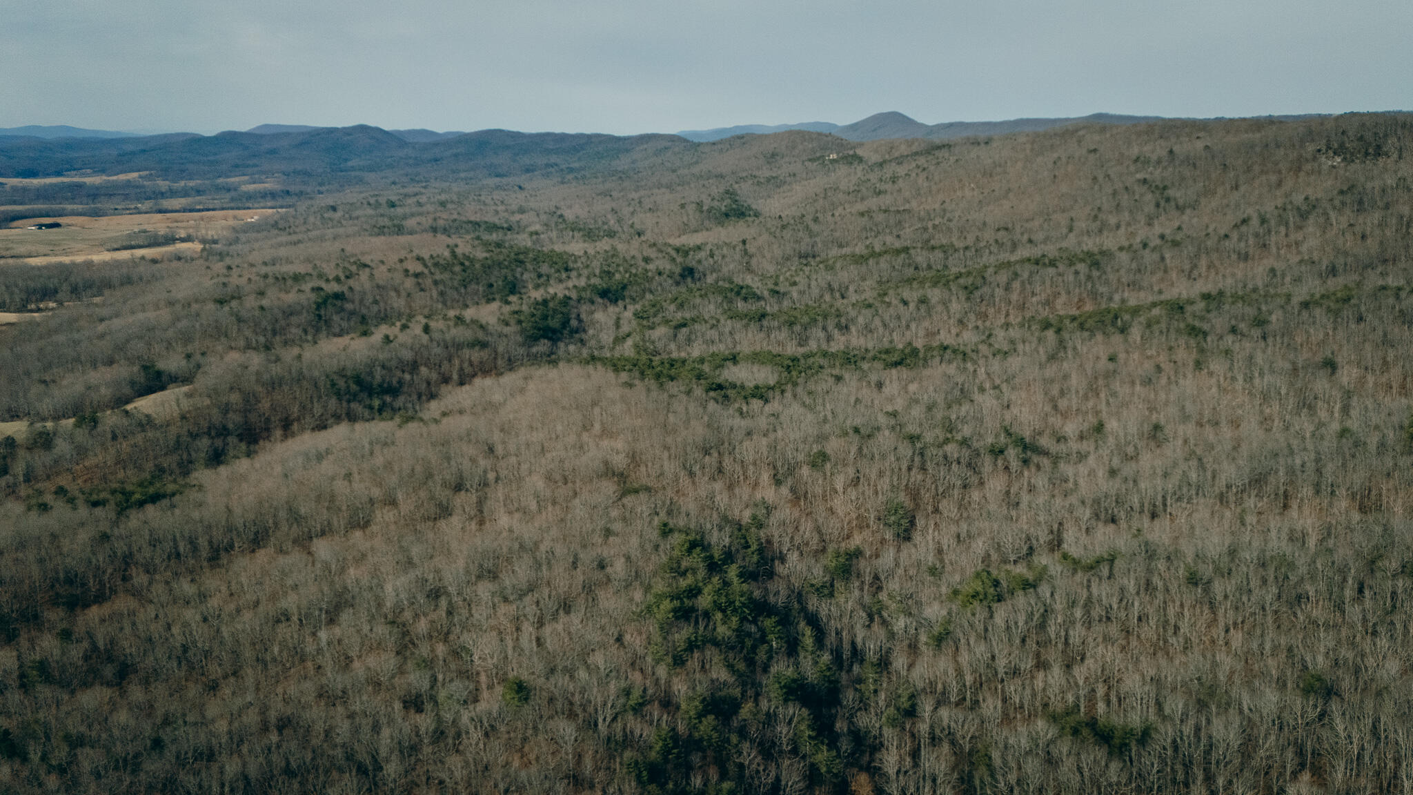 0 Alum Spring Road Pulaski, VA 24301 - Photo 6 of 15 McMillan pic 10