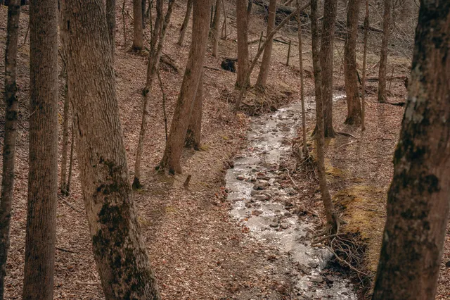 $950,000 | 0 Alum Spring Road, Pulaski, VA 24301