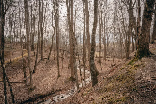 $950,000 | 0 Alum Spring Road, Pulaski, VA 24301