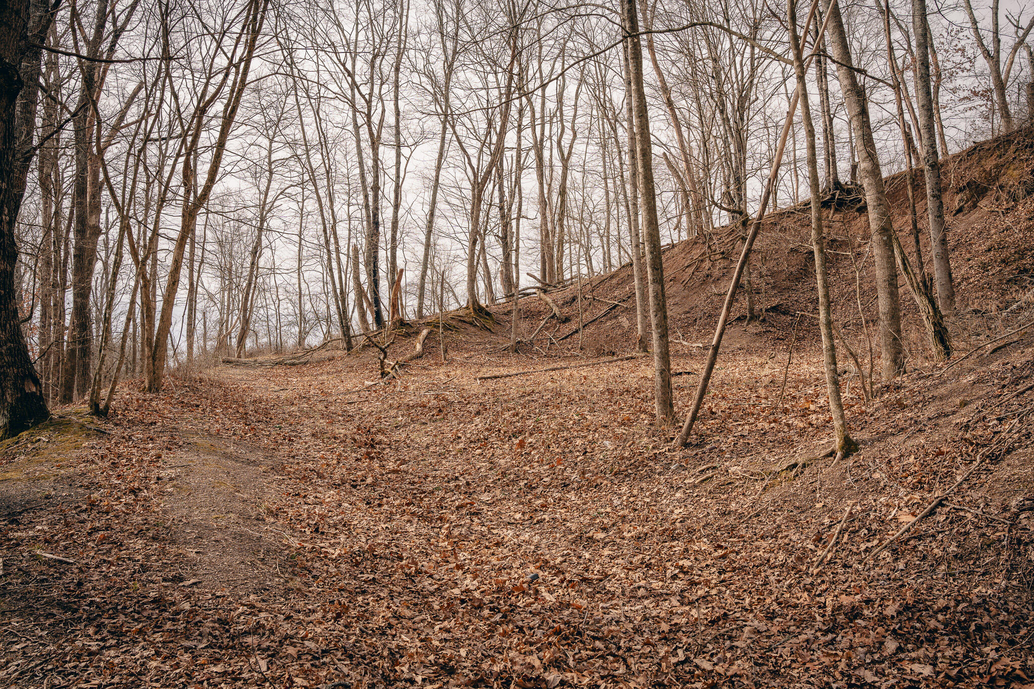 0 Alum Spring Road Pulaski, VA 24301 - Photo 10 of 15 McMillan pic 6