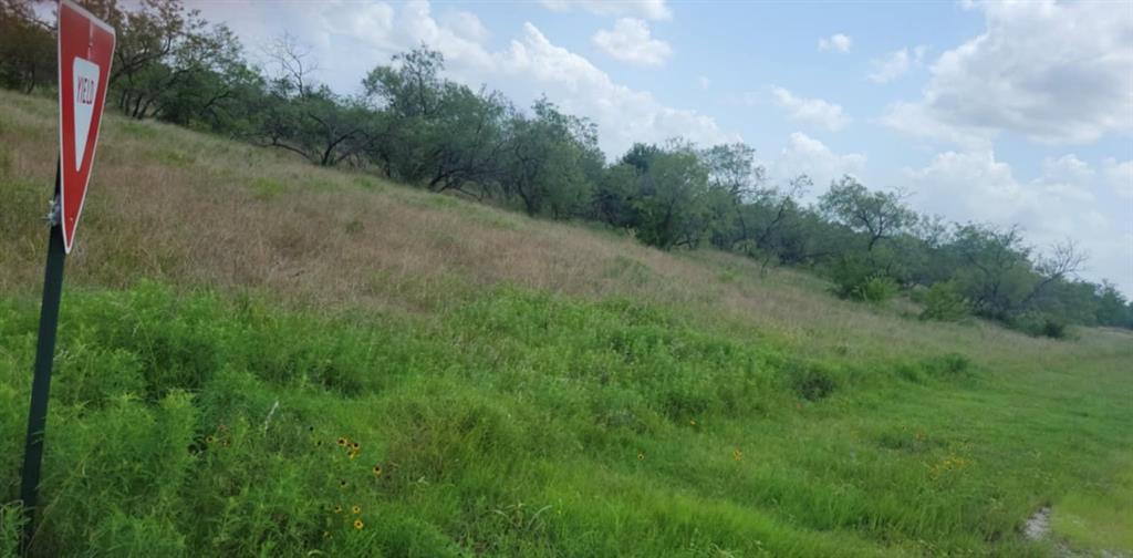 Lot 118 Palmito Rnch Road Corsicana, TX 75110 - Photo 4 of 7 View of undeveloped land featuring rural landscape