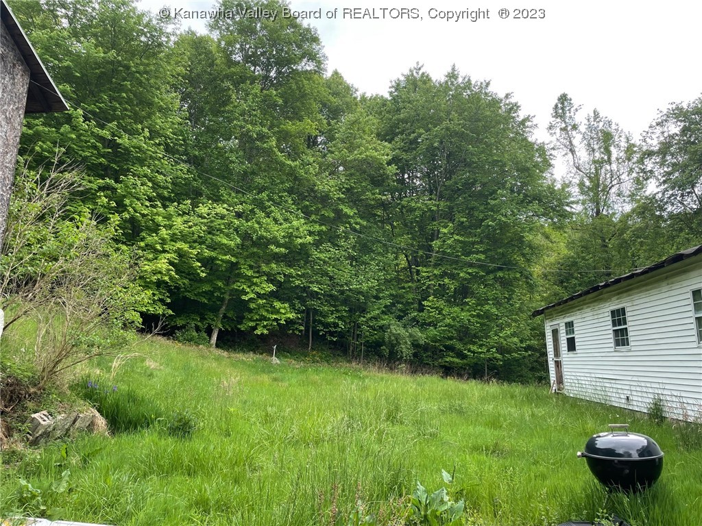 3781 Ovapa Road Procious, WV 25164 - Photo 15 of 17 Gallery Image 15