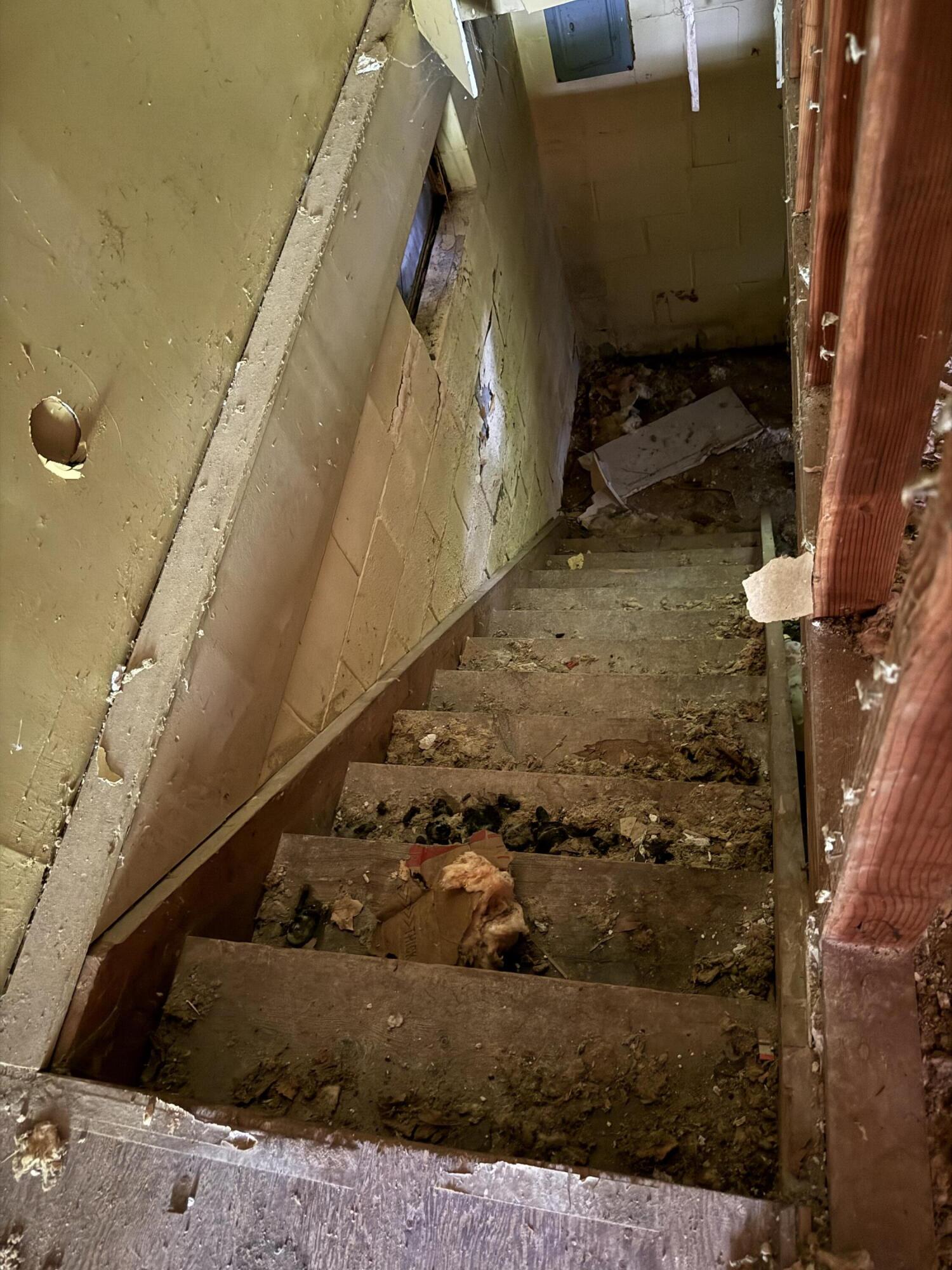 11108 Silver Lake Road South Lyon, MI 48178 - Photo 17 of 31 Basement Stairs
