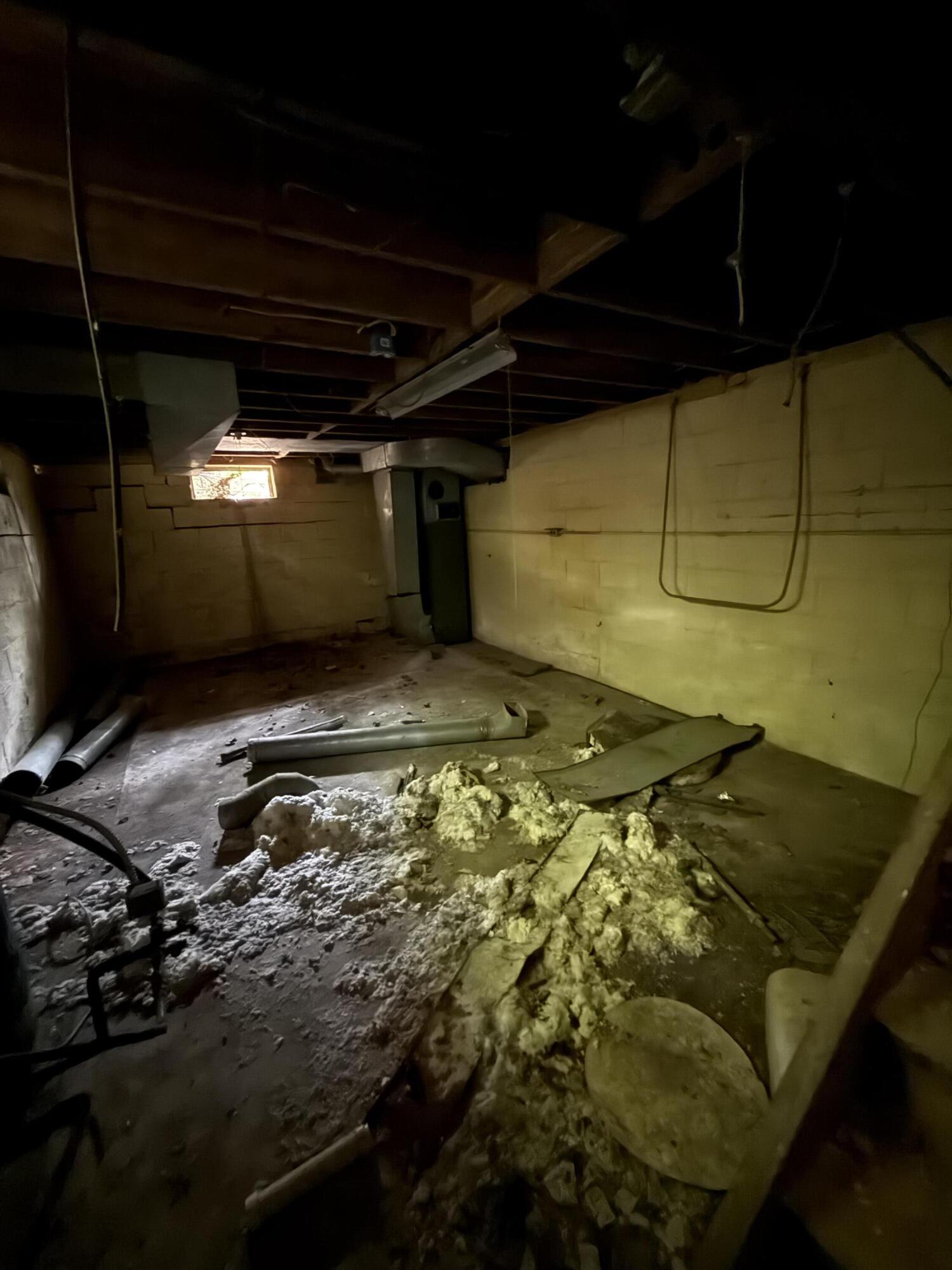 11108 Silver Lake Road South Lyon, MI 48178 - Photo 19 of 31 Basement