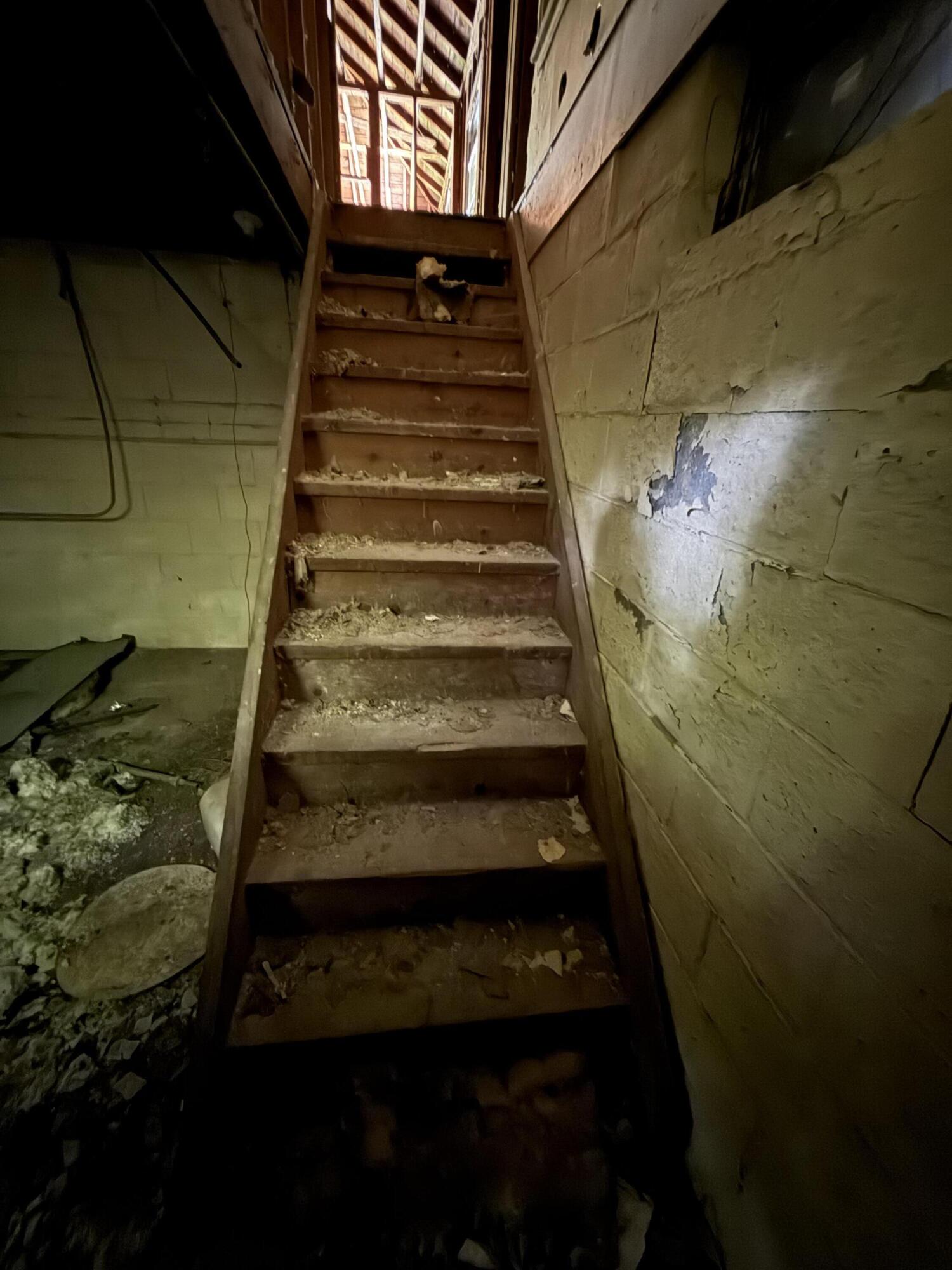 11108 Silver Lake Road South Lyon, MI 48178 - Photo 20 of 31 Basement Stairs