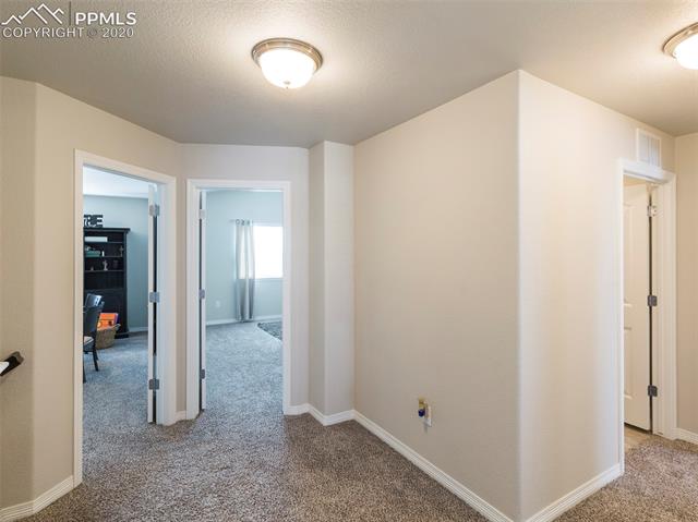 6039 Jorie Road Colorado Springs, CO 80927 - Photo 19 of 30
