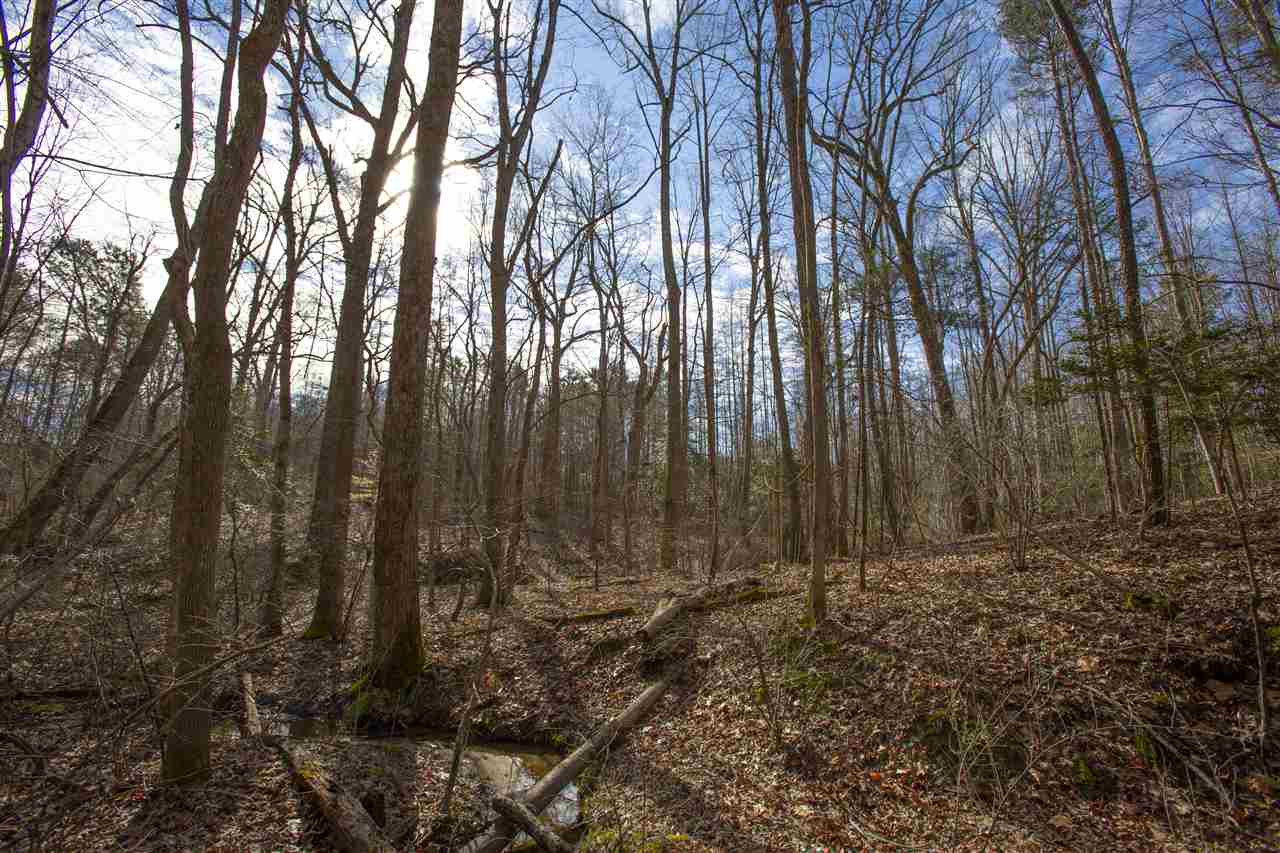 General Green Road Kittrell, NC 27544 - Photo 9 of 17 Photo 9