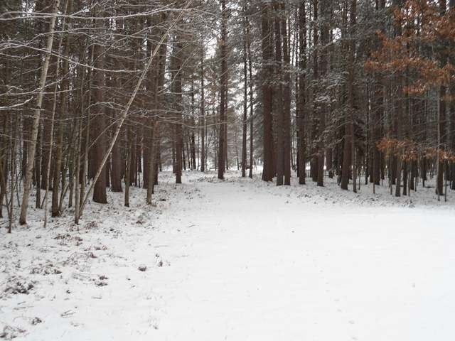 11872 Sumach Lake Road Woodruff, WI 54568 - Photo 17 of 20 Gallery Image 17