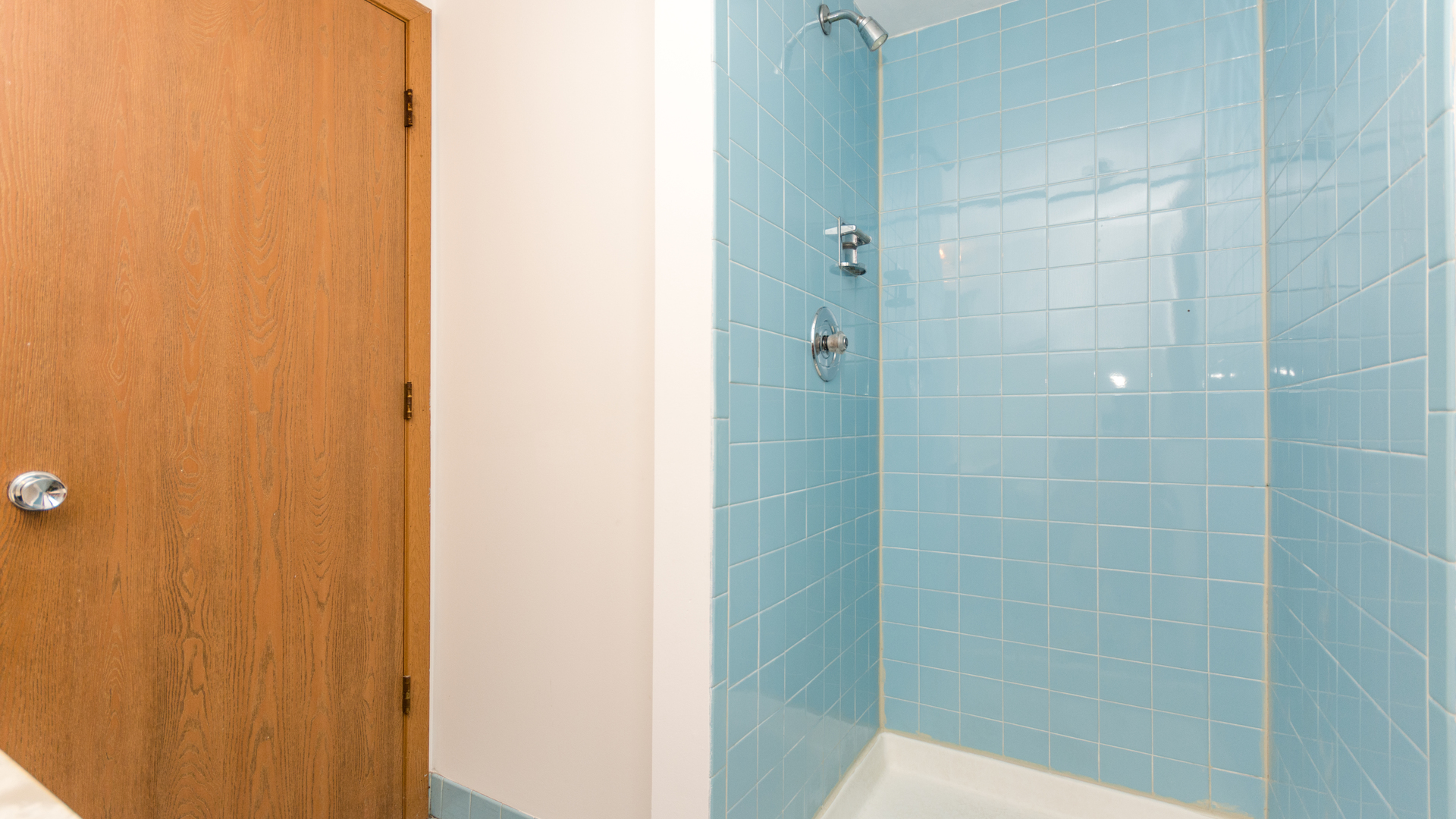 10205 South Springfield Avenue Chicago, IL 60655 - Photo 25 of 34 a bathroom with a shower