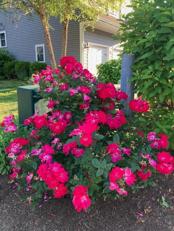 20 Talcott Road, Unit 20 Easton, MA 02356 - Photo 16 of 18 Gallery Image 16