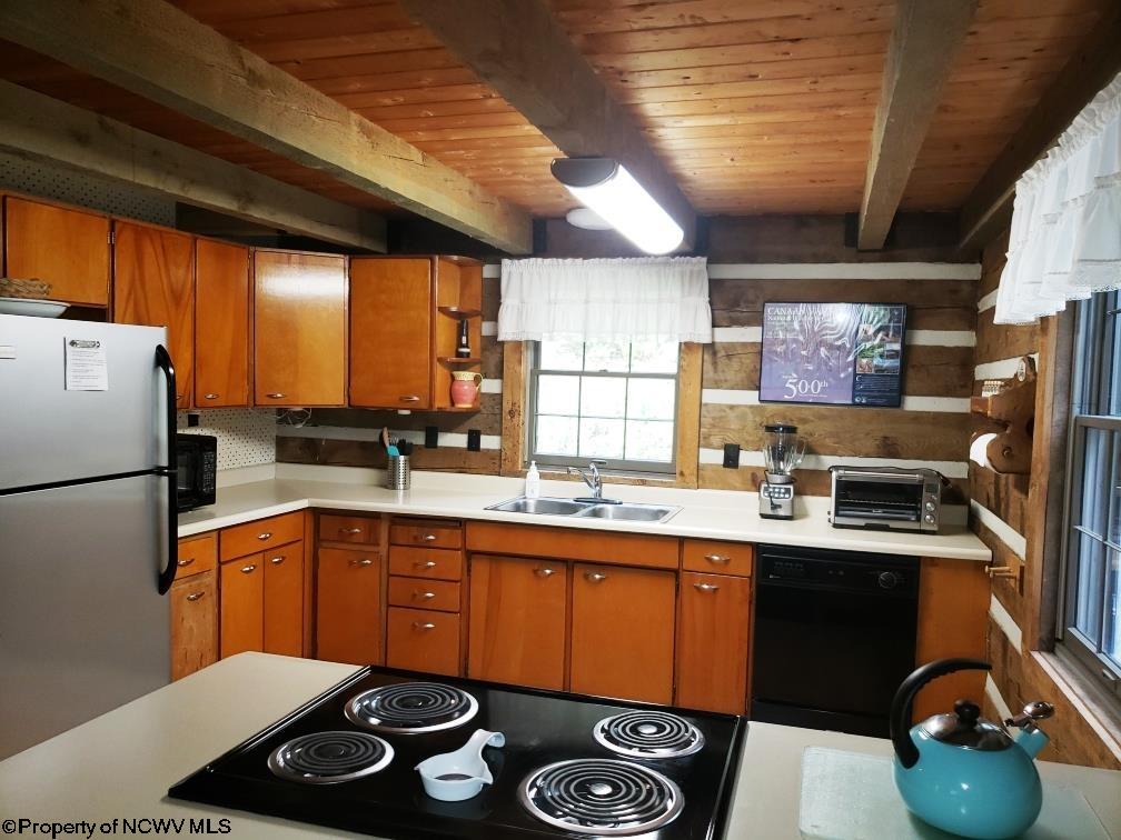 309 Mountainside Road Davis, WV 26260 - Photo 3 of 28 Gallery Image 3
