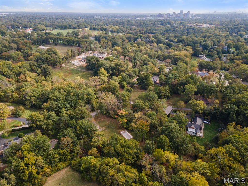 10 Upper Barnes Road Ladue, MO 63124 - Photo 10 of 19