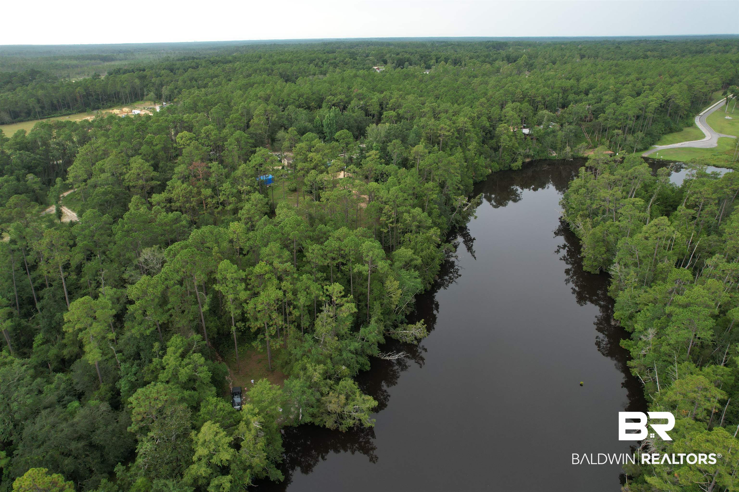 0 Browns Landing Road Seminole, AL 36574 - Photo 4 of 5