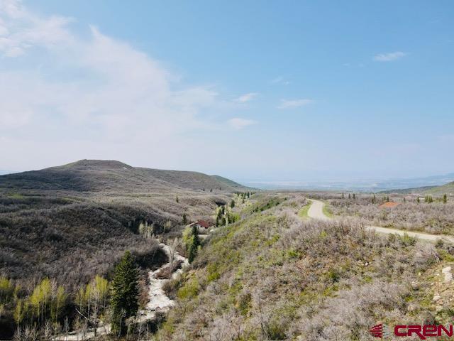 22350 Surface Creek Road Cedaredge, CO 81413 - Photo 2 of 32 a view of a dry yard with green space