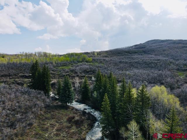 22350 Surface Creek Road Cedaredge, CO 81413 - Photo 3 of 32 a view of a lot of trees and houses