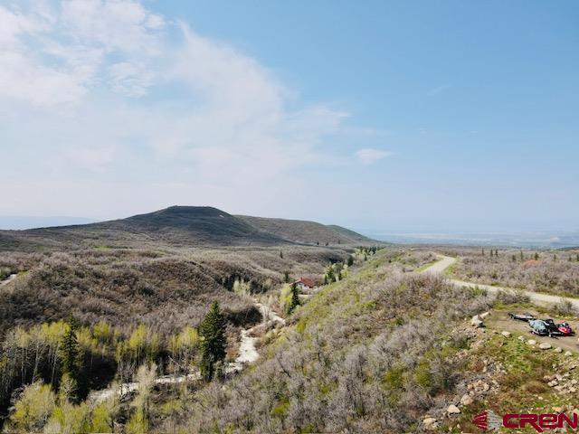 22350 Surface Creek Road Cedaredge, CO 81413 - Photo 5 of 32 an aerial view of houses with sky view