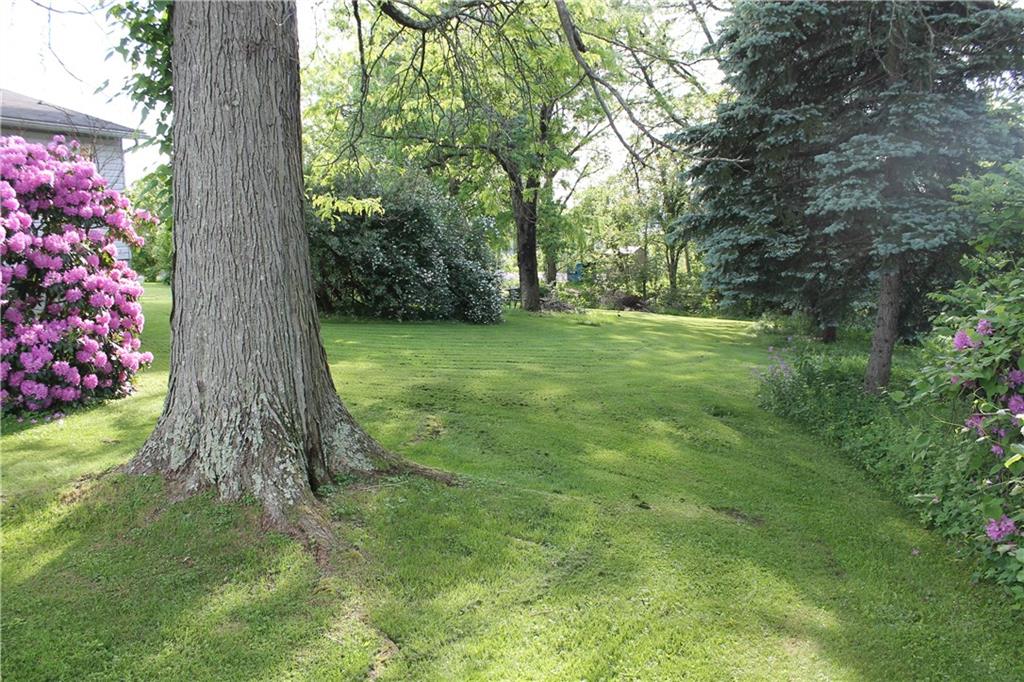 11 Braddock Rd Avenue Mount Pleasant, PA 15666 - Photo 4 of 10 yard
