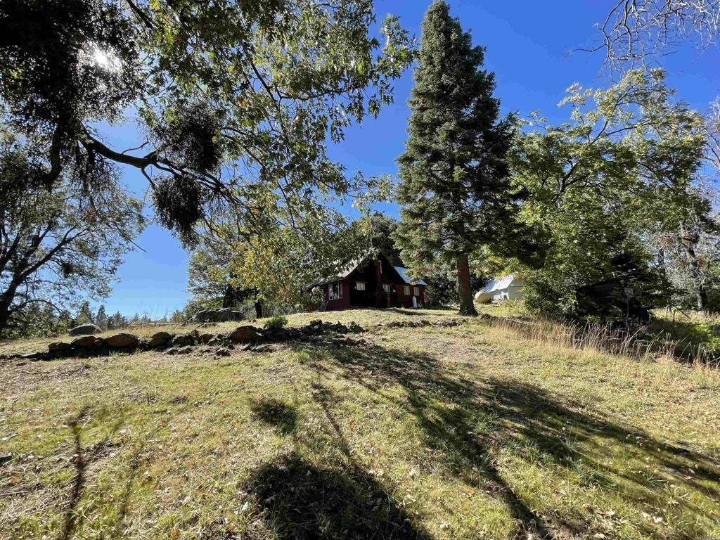0 Palomar Divide Palomar Mountain, CA 92060 - Photo 2 of 39 a view of a yard with a tree