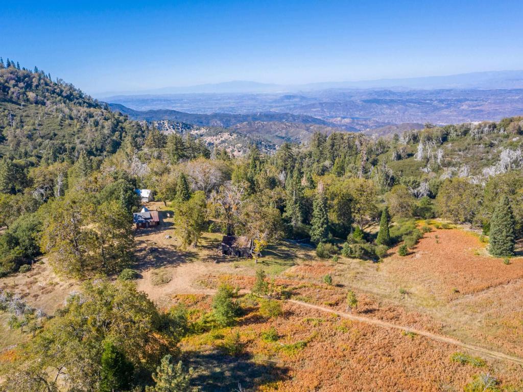 0 Palomar Divide Palomar Mountain, CA 92060 - Photo 22 of 39 a view of a yard with a street