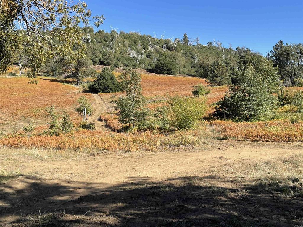 0 Palomar Divide Palomar Mountain, CA 92060 - Photo 28 of 39 a view of ocean view with large trees