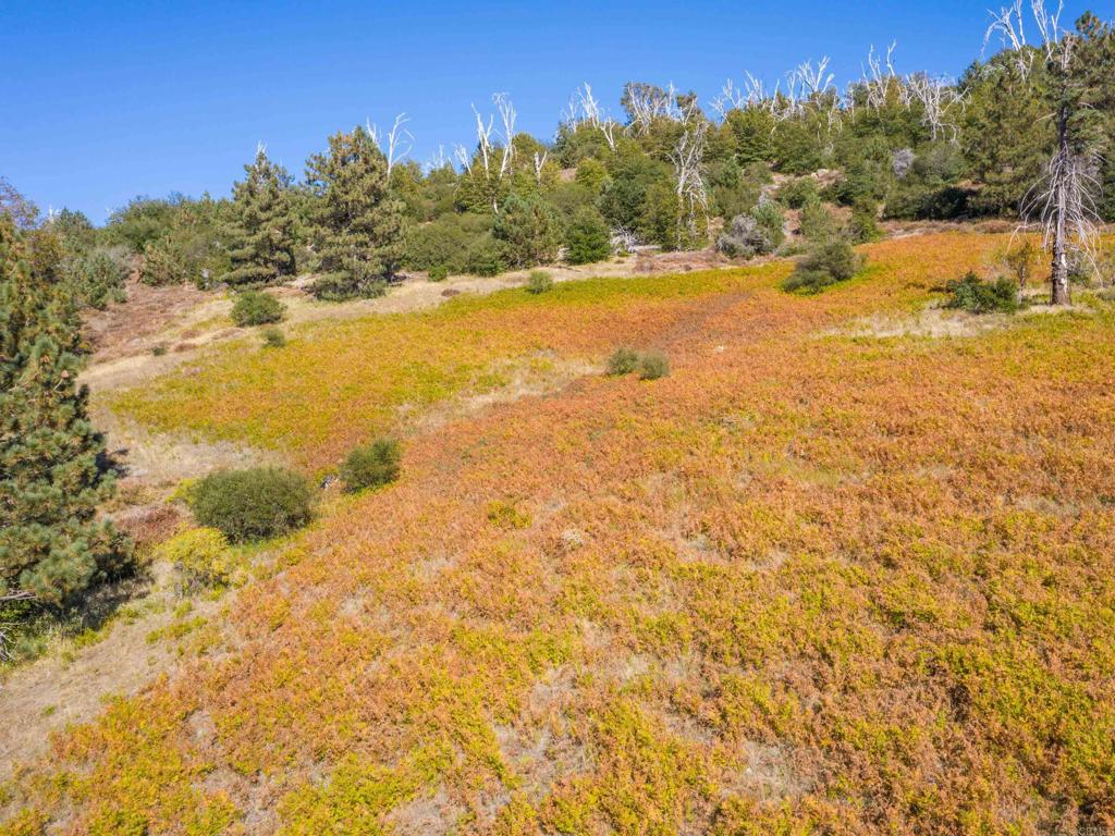 0 Palomar Divide Palomar Mountain, CA 92060 - Photo 31 of 39 a view of an ocean and a mountain view