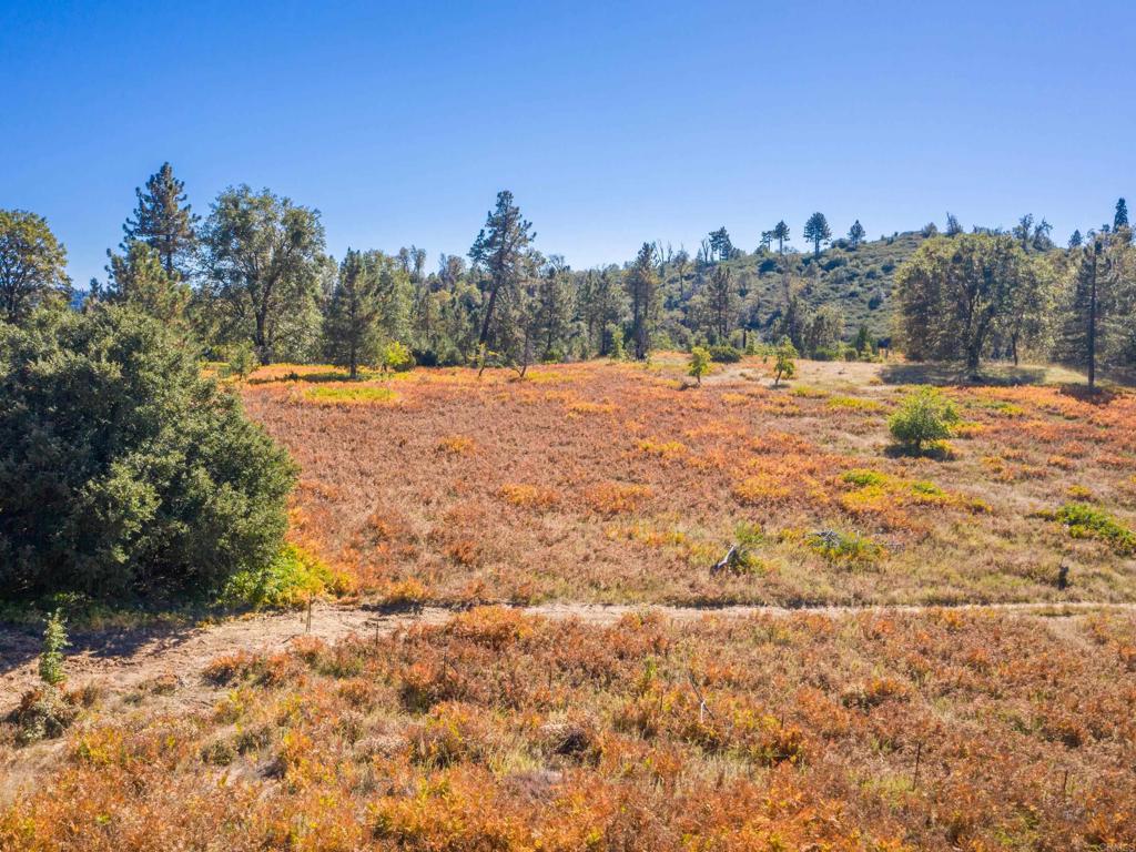0 Palomar Divide Palomar Mountain, CA 92060 - Photo 32 of 39 a view of a yard with trees and a yard