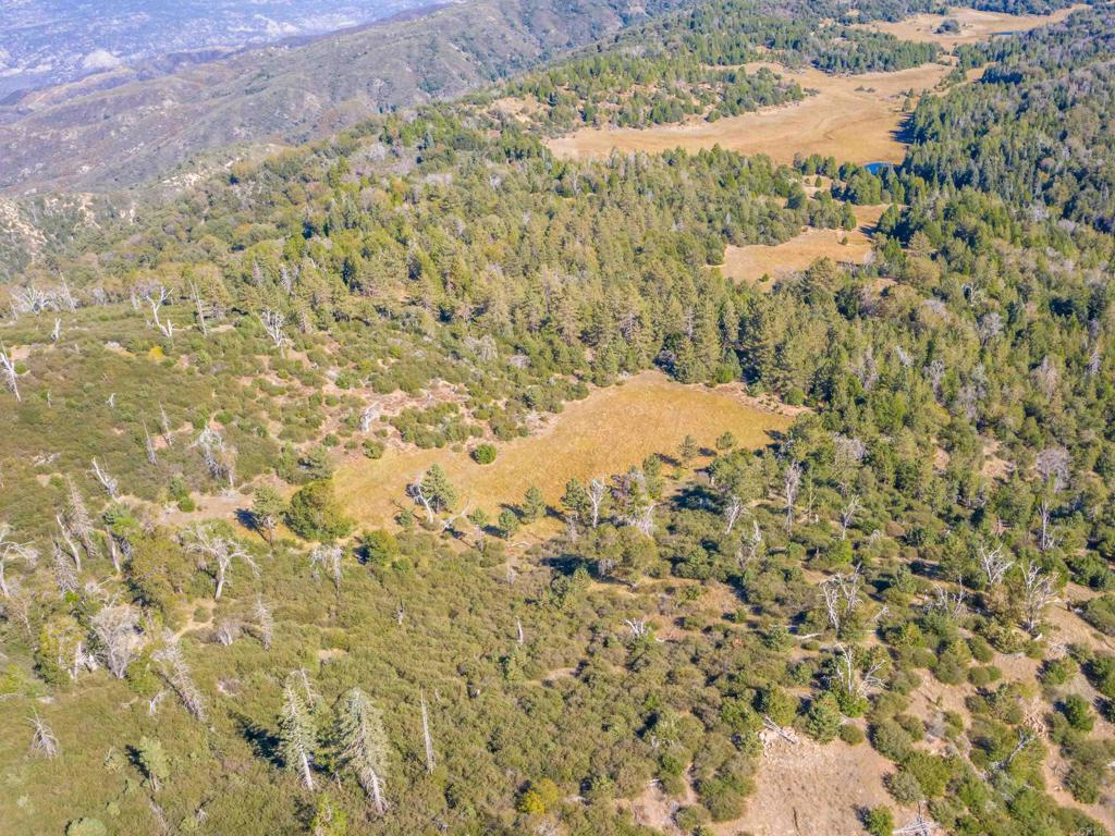 0 Palomar Divide Palomar Mountain, CA 92060 - Photo 38 of 39 a view of a dry yard