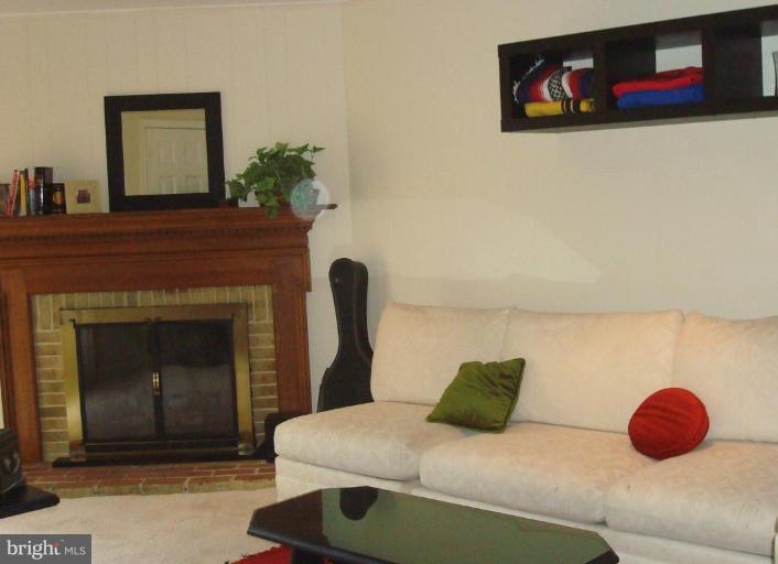 7003 Leestone Street Springfield, VA 22151 - Photo 6 of 7 Recreation Room #2