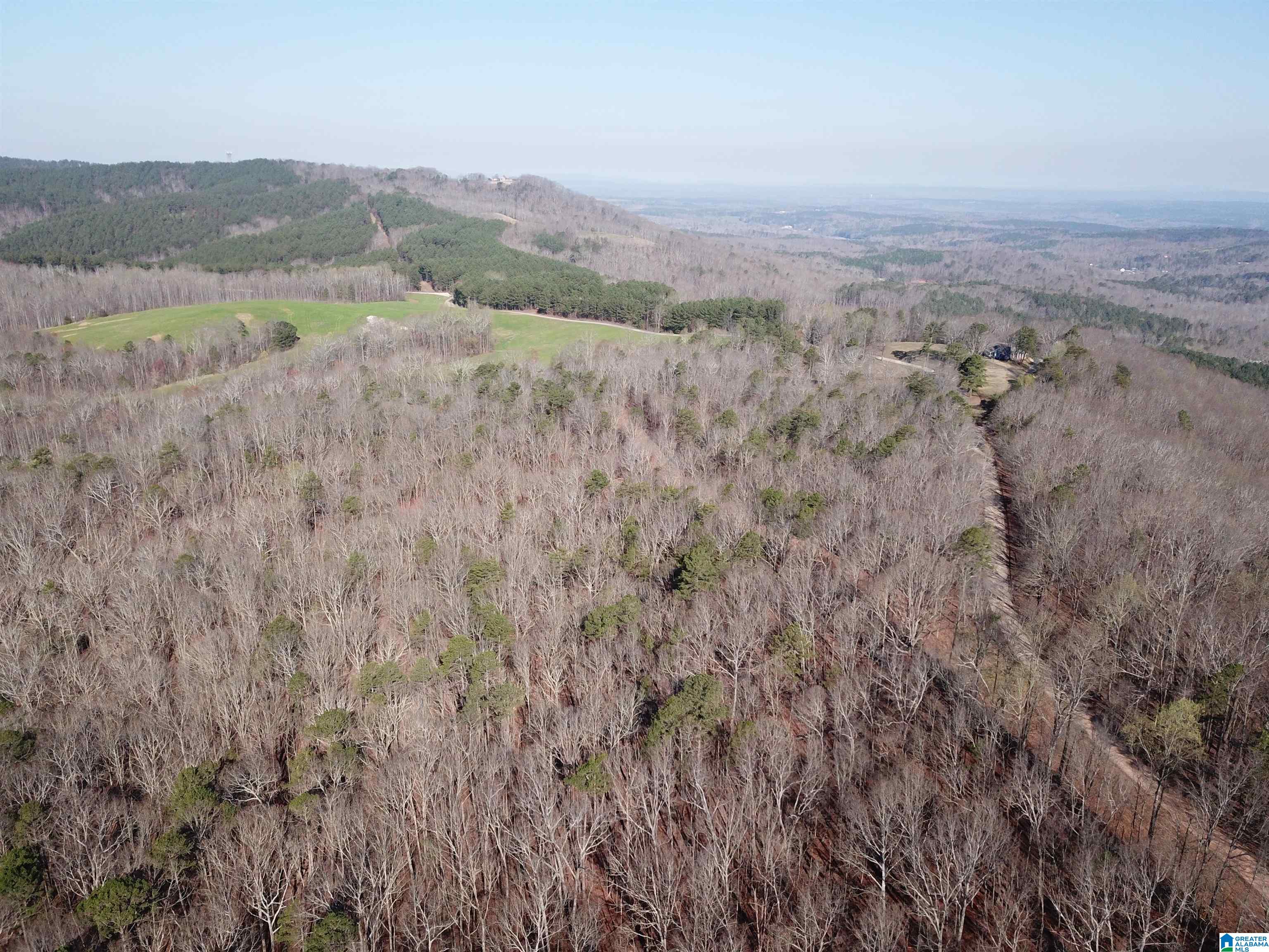 0 County Road 852, Unit 2 Ranburne, AL 36273 - Photo 18 of 19
