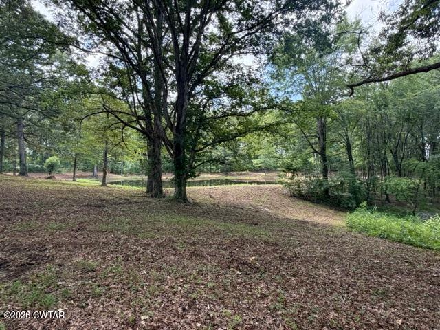 0 McBride Cemetery Road Sardis, TN 38371 - Photo 31 of 54 thumbnail (31)