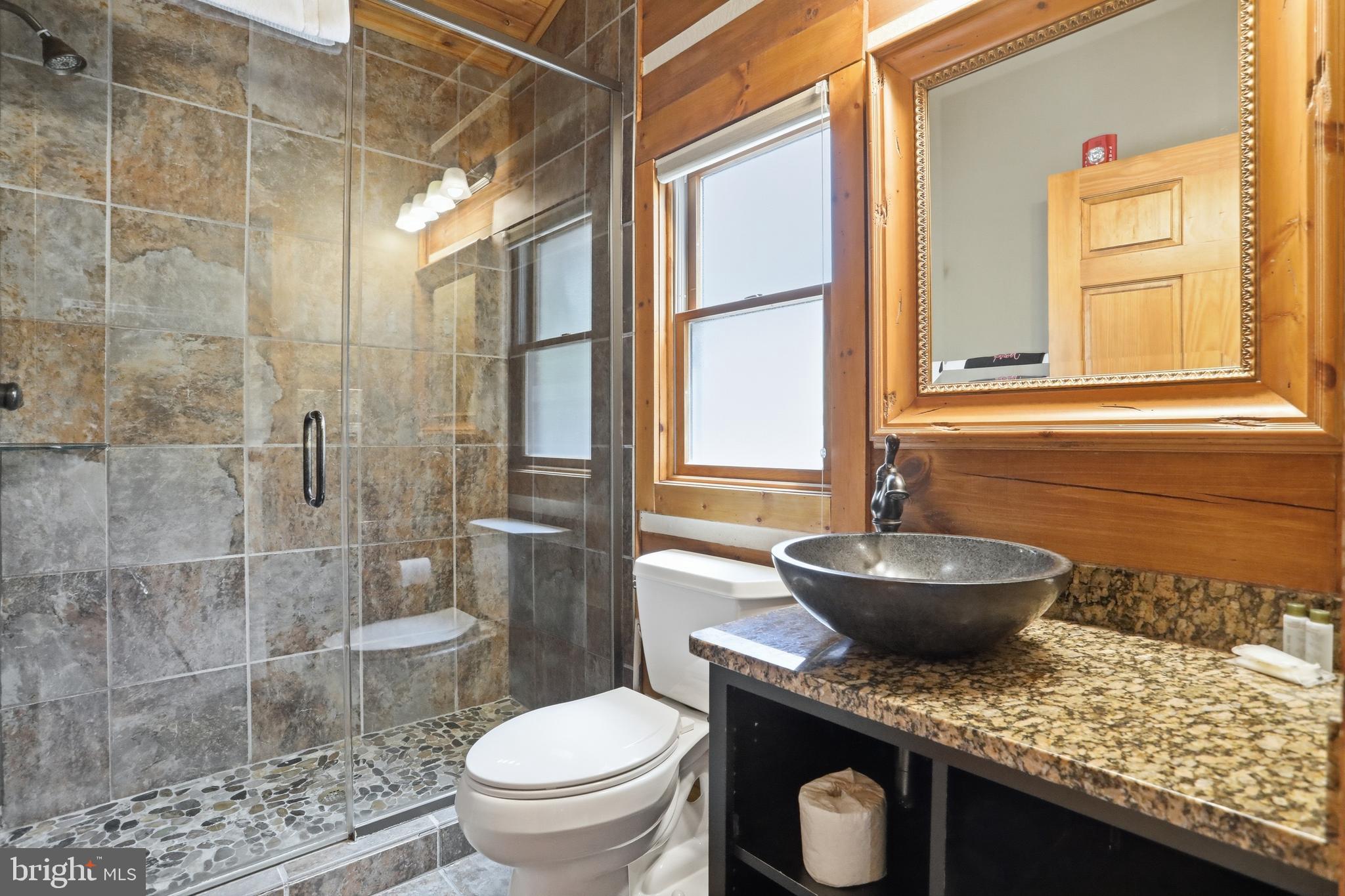 171 Cabin Lodge Road McHenry, MD 21541 - Photo 3 of 21