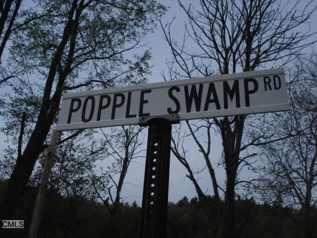 Popple Swamp Road Cornwall, CT 06753 - Photo 1 of 1