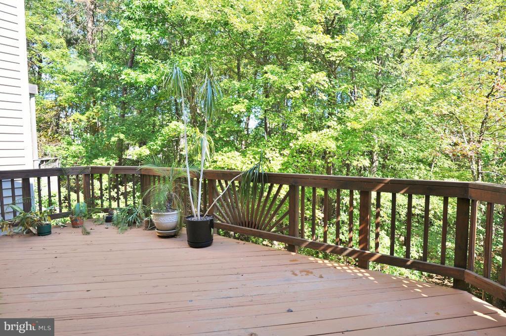 6349 Simmer Circle Springfield, VA 22150 - Photo 9 of 25 Deck