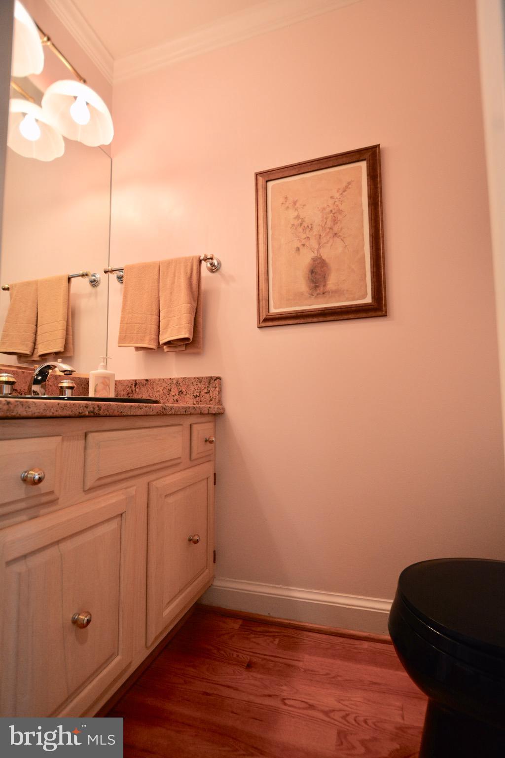 260 Eareckson Lane Stevensville, MD 21666 - Photo 61 of 101