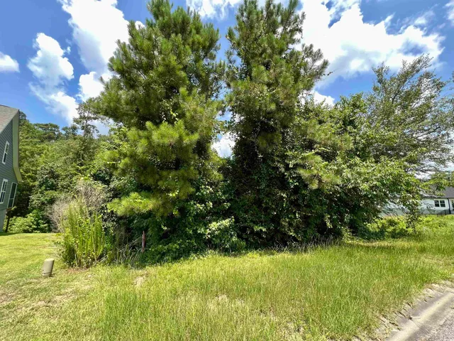 $45,000 | 286 Rivers Edge Drive, Conway, SC 29526