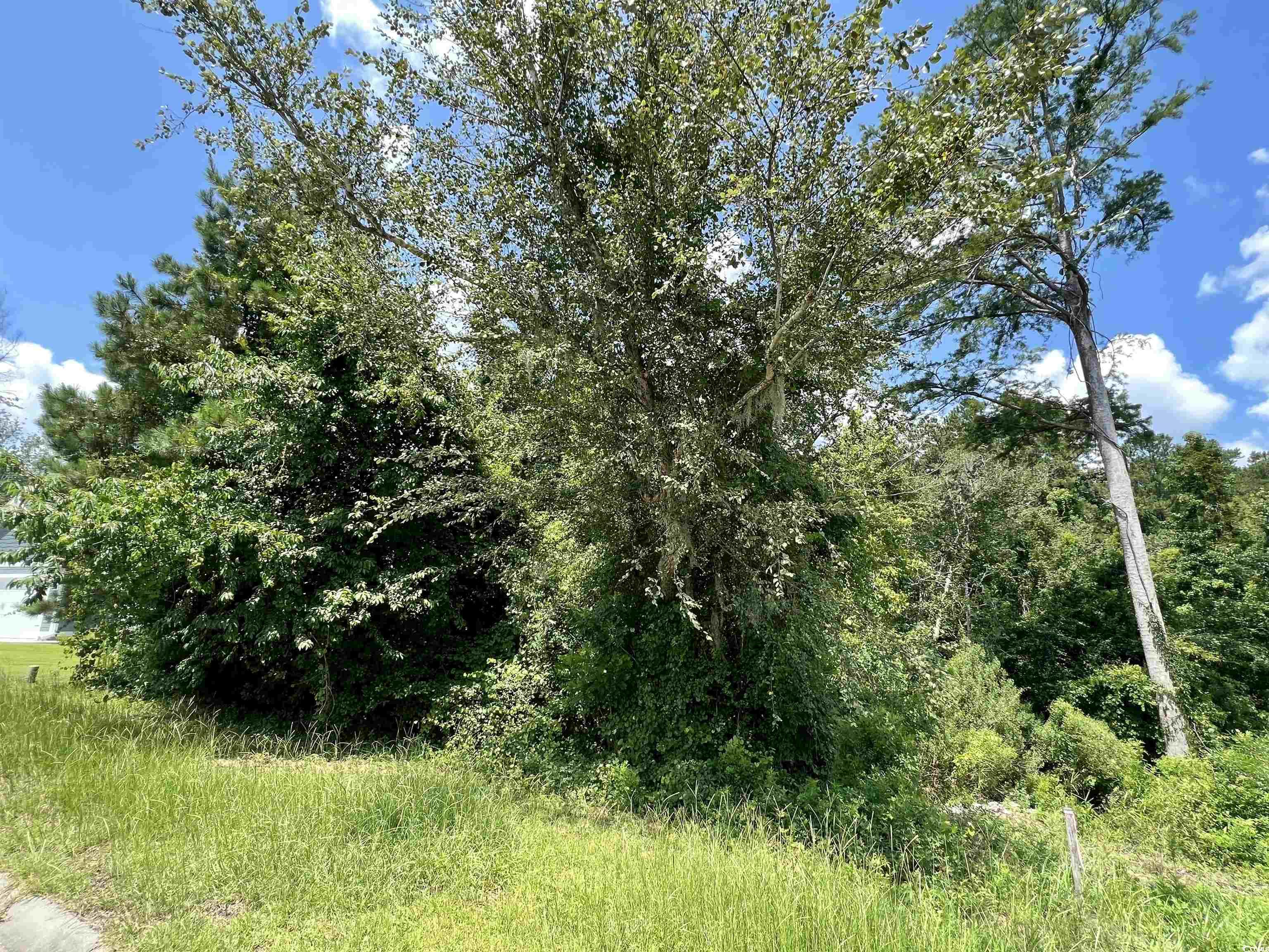 286 Rivers Edge Drive Conway, SC 29526 - Photo 2 of 12