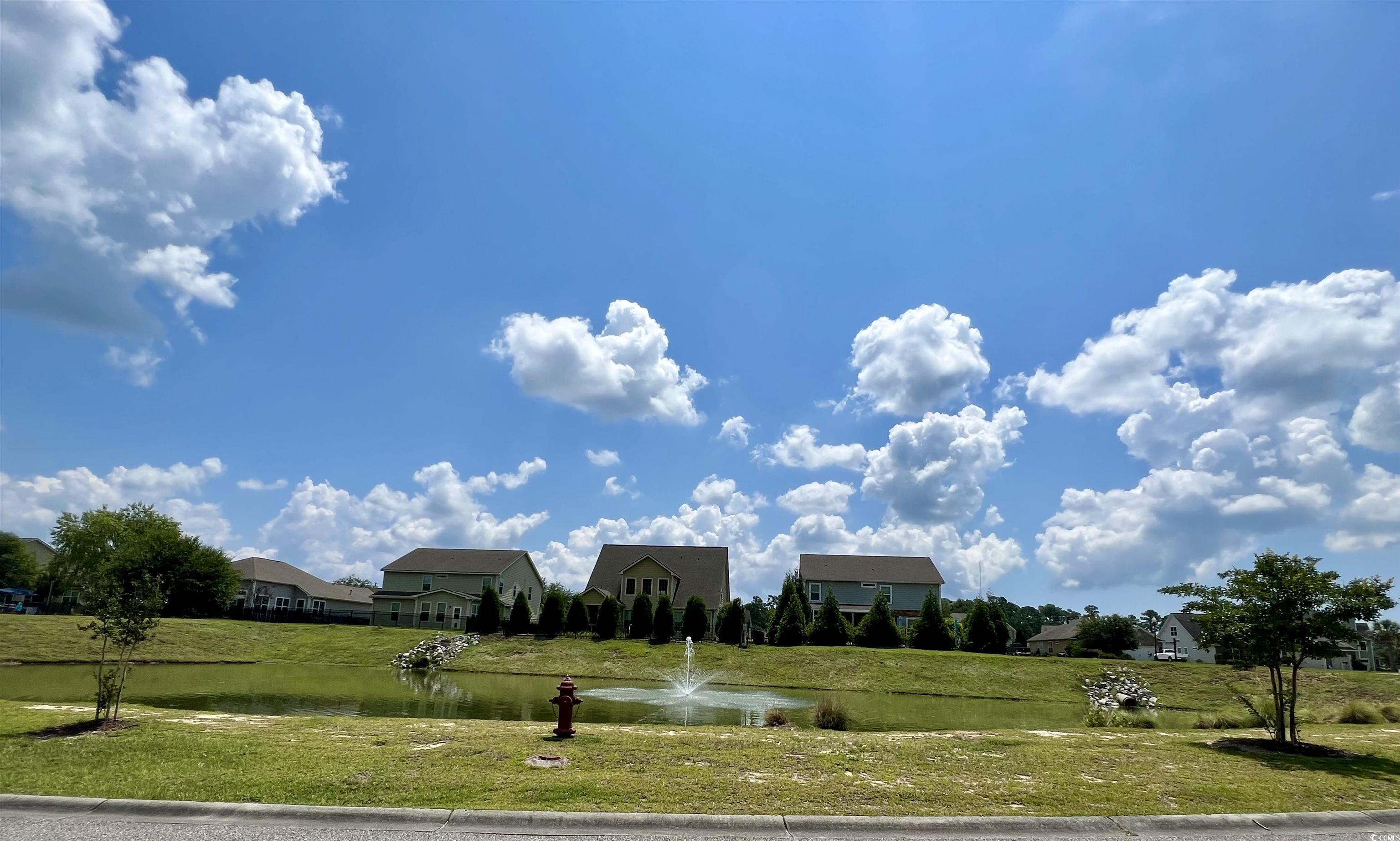 286 Rivers Edge Drive Conway, SC 29526 - Photo 3 of 12