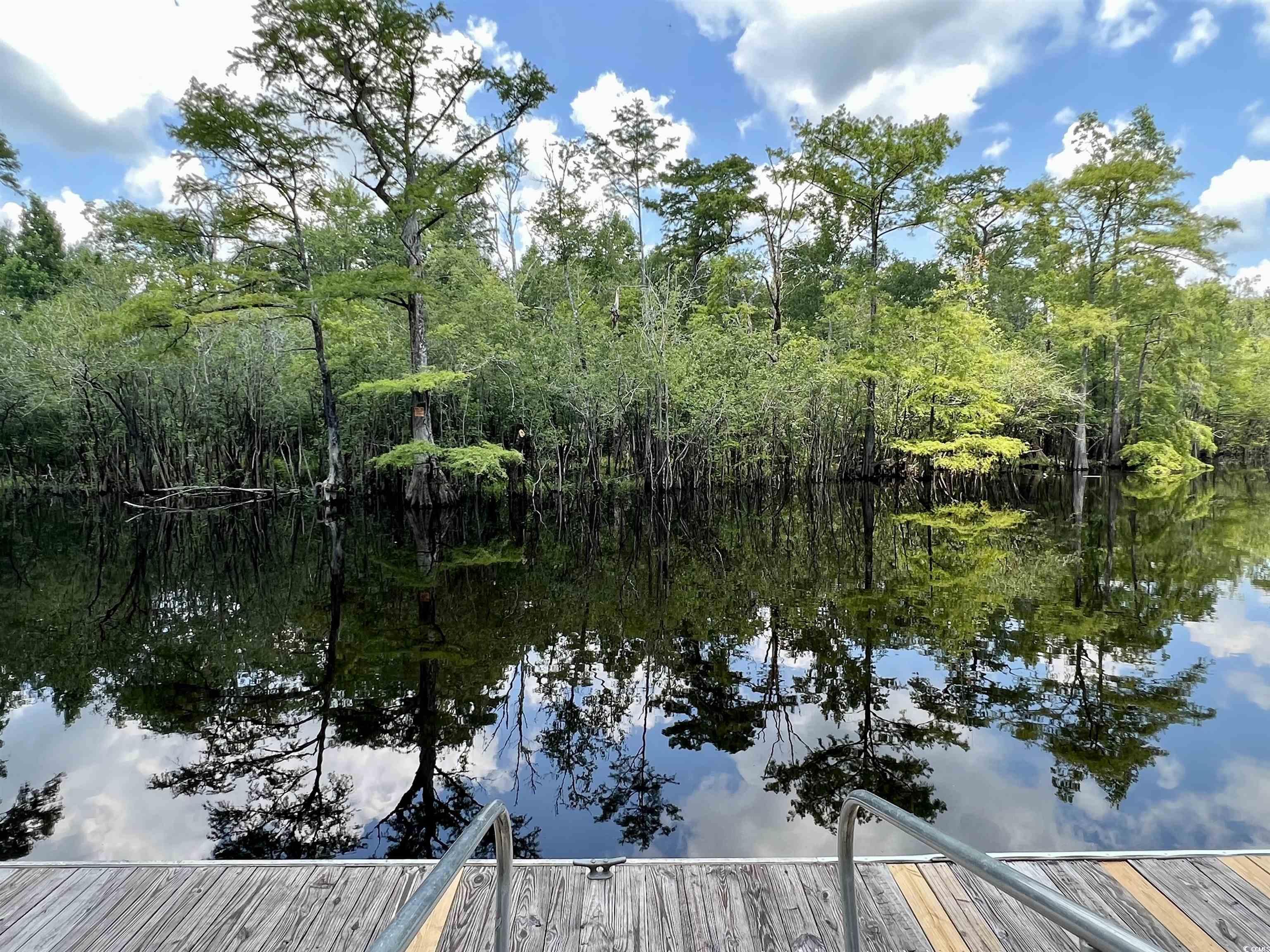 286 Rivers Edge Drive Conway, SC 29526 - Photo 6 of 12